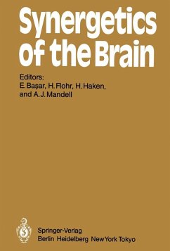 Cover Synergetics of the Brain (eBook, PDF)