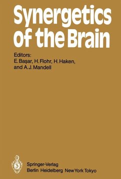 Synergetics of the Brain (eBook, PDF)