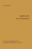 Modular Lie Algebras (eBook, PDF)