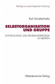 Selbstorganisation und Gruppe (eBook, PDF)