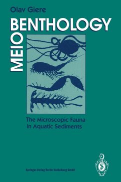 Meiobenthology (eBook, PDF) - Giere, Olav