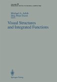 Visual Structures and Integrated Functions (eBook, PDF)
