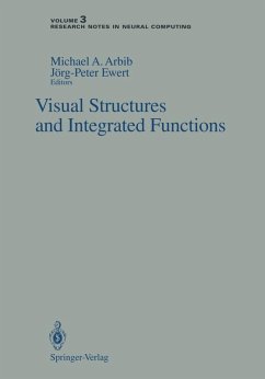 Visual Structures and Integrated Functions (eBook, PDF)