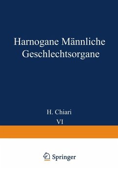 Harnorgane Männliche Geschlechtsorgane (eBook, PDF) - Chiari, H.; Stoerk, O.; Fahr, Th.; Gruber, Georg B.; Koch, Max; Lubarsch, O.; Maresch, R.; Oberndorfer, S.; Priesel, A.; Putschar, W.