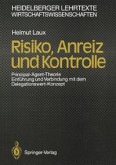 Risiko, Anreiz und Kontrolle (eBook, PDF)