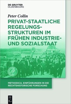 Privat-staatliche Regelungsstrukturen im frühen Industrie- und Sozialstaat (eBook, PDF) - Collin, Peter