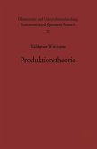 Produktionstheorie (eBook, PDF)