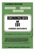 Rechnungswesen und EDV Saarbrücker Arbeitstagung /85 (eBook, PDF)