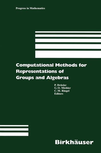 Computational Methods for Representations of Groups and Algebras (eBook, PDF) Computational Methods for Representations of Groups and Algebras (eBook, PDF)