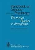 The Visual System in Vertebrates (eBook, PDF)
