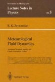 Meteorological Fluid Dynamics (eBook, PDF)
