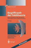 Begriffswelt der Feldtheorie (eBook, PDF)