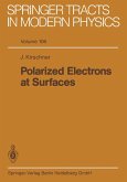Polarized Electrons at Surfaces (eBook, PDF)