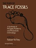The Study of Trace Fossils (eBook, PDF)