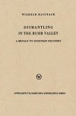 Dismantling in the Ruhr Valley (eBook, PDF)