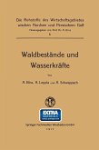Waldbestände und Wasserkräfte (eBook, PDF)