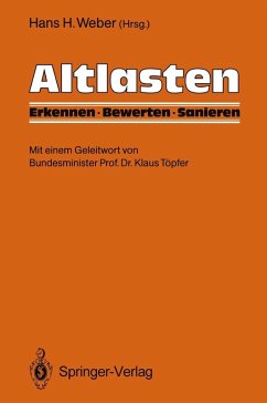 Altlasten (eBook, PDF)