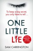 One Little Lie (eBook, ePUB)
