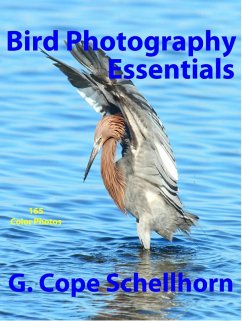 Cover Bird Photography Essentials (eBook, ePUB)