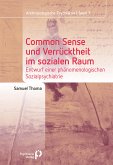 Common Sense und Verrücktheit im sozialen Raum (eBook, PDF)