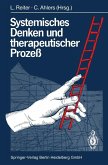 Systemisches Denken und therapeutischer Prozeß (eBook, PDF)