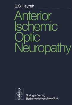 Anterior Ischemic Optic Neuropathy (eBook, PDF) - Hayreh, S. S.