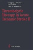Thrombolytic Therapy in Acute Ischemic Stroke II (eBook, PDF)