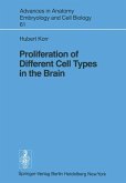 Proliferation of Different Cell Types in the Brain (eBook, PDF) Proliferation of Different Cell Types in the Brain (eBook, PDF)