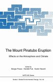 The Mount Pinatubo Eruption (eBook, PDF) The Mount Pinatubo Eruption (eBook, PDF)