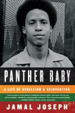 Panther Baby (eBook, ePUB)