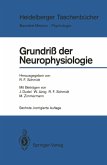 Grundriß der Neurophysiologie (eBook, PDF)