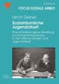 Sozialräumliche Jugendarbeit (eBook, PDF)