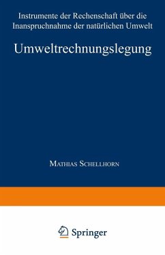 Umweltrechnungslegung (eBook, PDF)