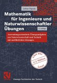 Mathematik für Ingenieure und Naturwissenschaftler Übungen (eBook, PDF)