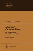 Advanced Quantum Theory (eBook, PDF)