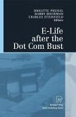 E-Life after the Dot Com Bust (eBook, PDF)