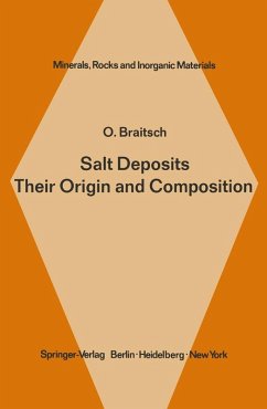 Cover Salt Deposits Their Origin and Composition (eBook, PDF)