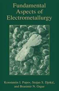 Fundamental Aspects of Electrometallurgy (eBook, PDF) - Popov, Konstantin; Grgur, Branamir; Djokic, Stojan S.
