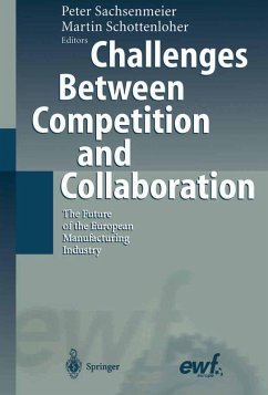 Challenges Between Competition and Collaboration (eBook, PDF)