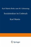 Sozialstruktur im Umbruch (eBook, PDF)