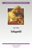 Schlaganfall (eBook, PDF)