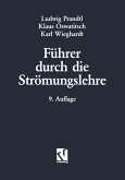 Führer durch die Strömungslehre (eBook, PDF)