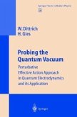 Probing the Quantum Vacuum (eBook, PDF)