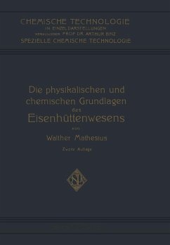 Die Physikalischen und Chemischen Grundlagen des Eisenhüttenwesens (eBook, PDF) - Matheus, Walther