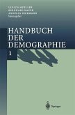 Handbuch der Demographie 1 (eBook, PDF)