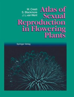 Atlas of Sexual Reproduction in Flowering Plants (eBook, PDF) - Cresti, Mauro; Blackmore, Stephen; Went, Jacobus L. Van