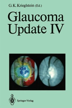 Glaucoma Update IV (eBook, PDF)