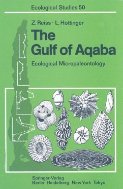 The Gulf of Aqaba (eBook, PDF) - Reiss, Zeev; Hottinger, Lukas
