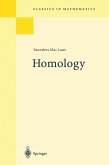 Homology (eBook, PDF)