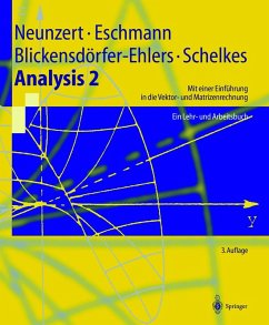 Analysis 2 (eBook, PDF) - Universität Kaiserslautern FB Mathematik; Eschmann, Winfried G.; Blickensdörfer-Ehlers, Arndt; Schelkes, Klaus